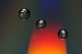 DSCF1098
