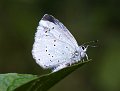 DSCF1574