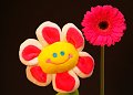 DSCF3784