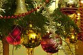 DSCF3874