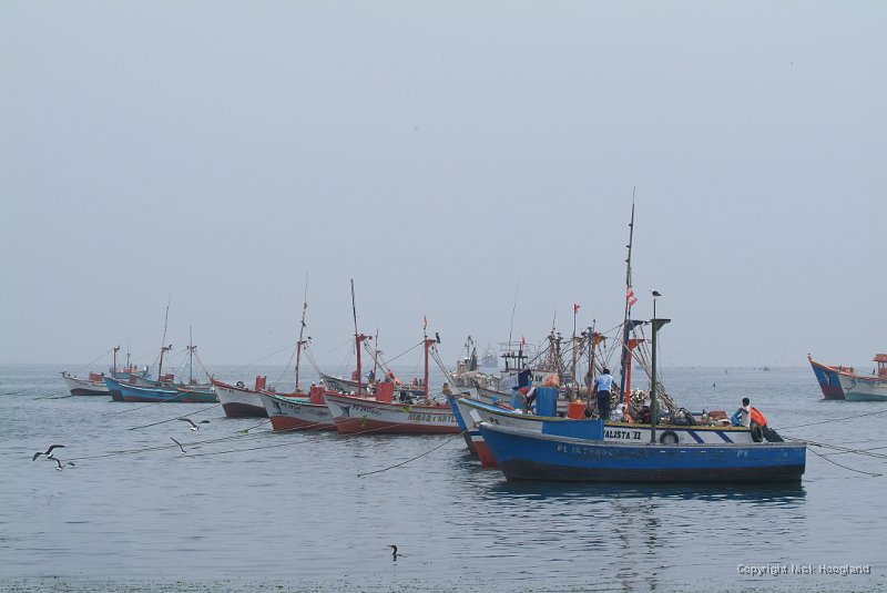 DSCF1820.JPG