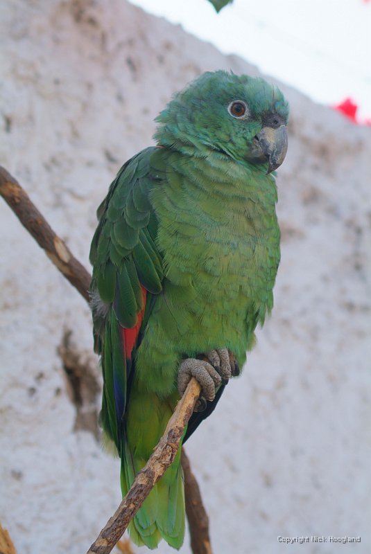 DSCF1863.JPG
