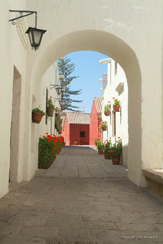 DSCF1971.JPG