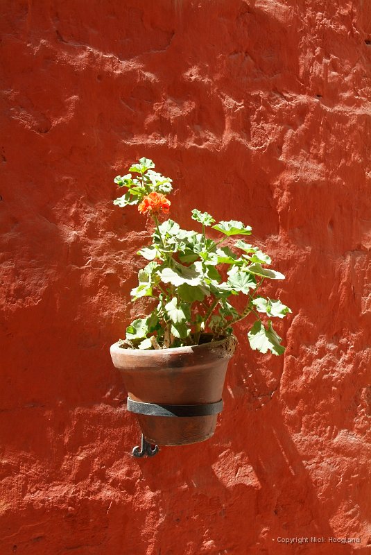 DSCF1972.JPG