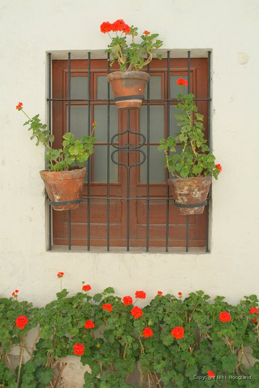 DSCF1973.JPG