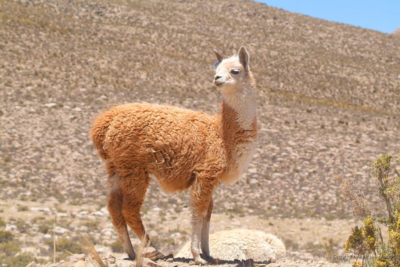 DSCF2153.JPG