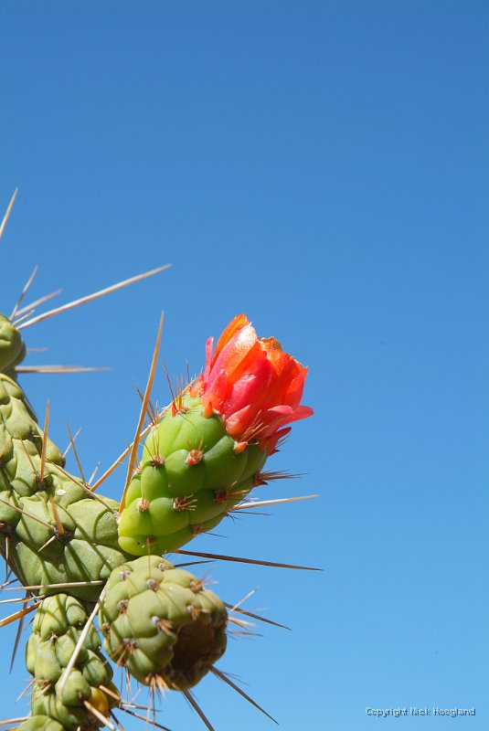 DSCF2194.JPG