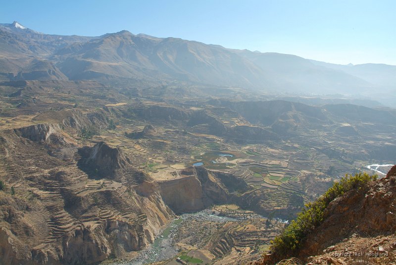 DSCF2244.JPG
