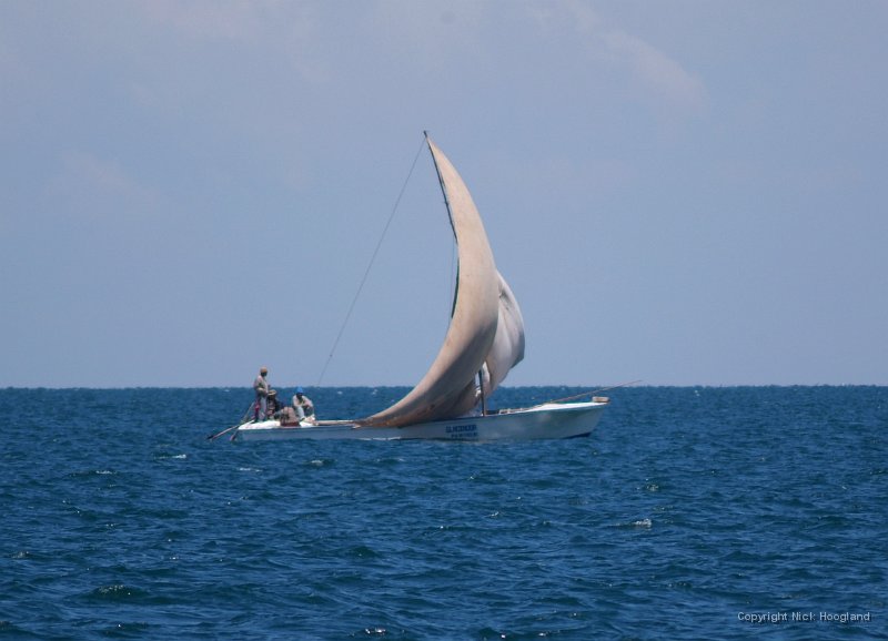 DSCF2343.JPG