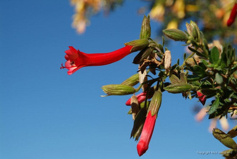 DSCF2357.JPG