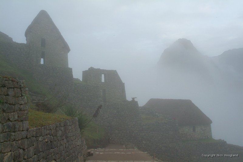 DSCF2633.JPG