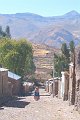 DSCF2184