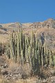 DSCF2248