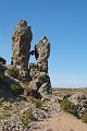 DSCF2349