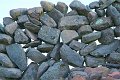 DSCF2421
