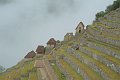 DSCF2664