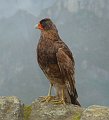 DSCF2672