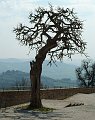 DSCF4608