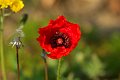 DSCF4672
