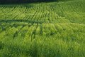 DSCF4814