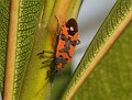 DSCF4846