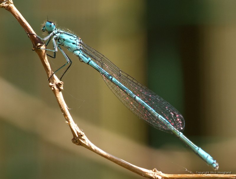 DSCF5356-2.JPG
