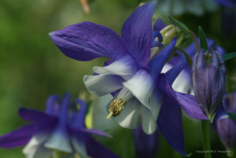 DSCF5542.JPG