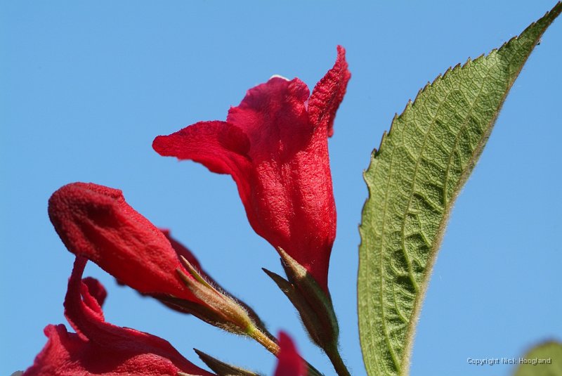DSCF5544.JPG