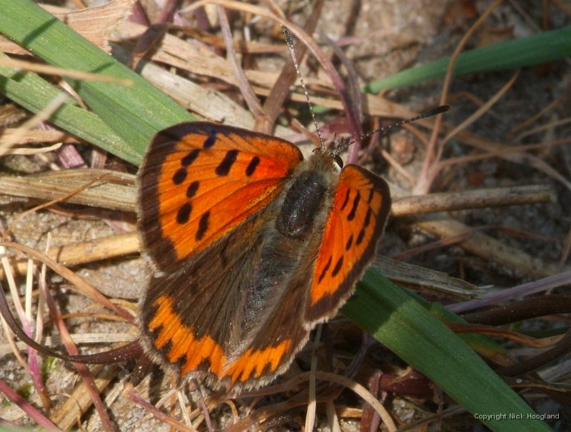 DSCF5557.JPG