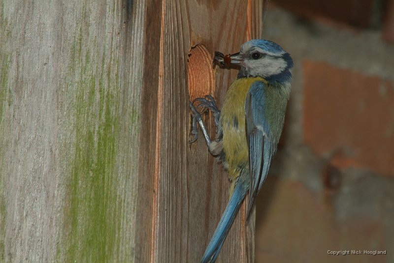 DSCF7468.JPG