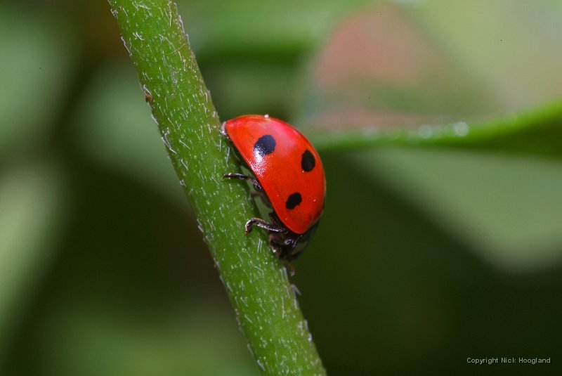 DSCF7481.JPG