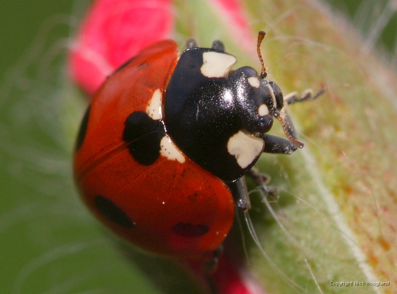 DSCF7506.JPG