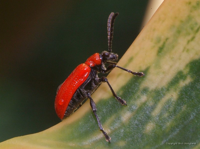 DSCF8265.JPG