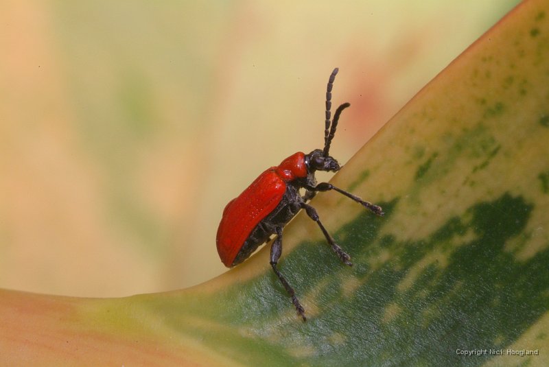 DSCF8278.JPG