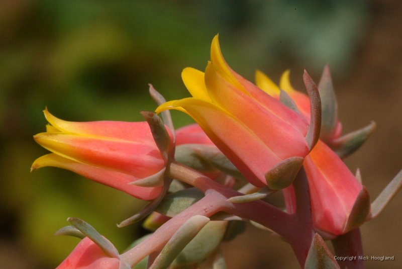 DSCF8303.JPG