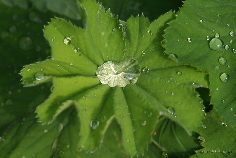 DSCF8870.JPG