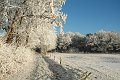 DSCF0459
