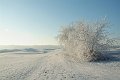 DSCF0462