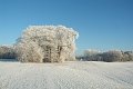 DSCF0468