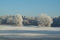 DSCF0472