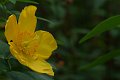 DSCF8853