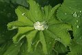 DSCF8870