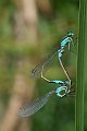 DSCF9539