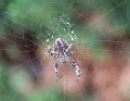 DSCF9626
