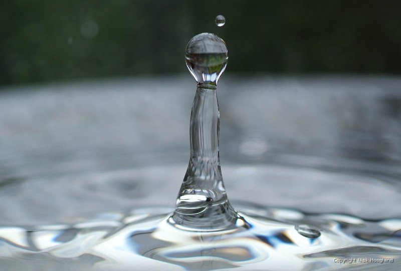 DSCF6376.JPG