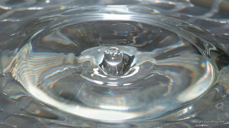DSCF6440.JPG