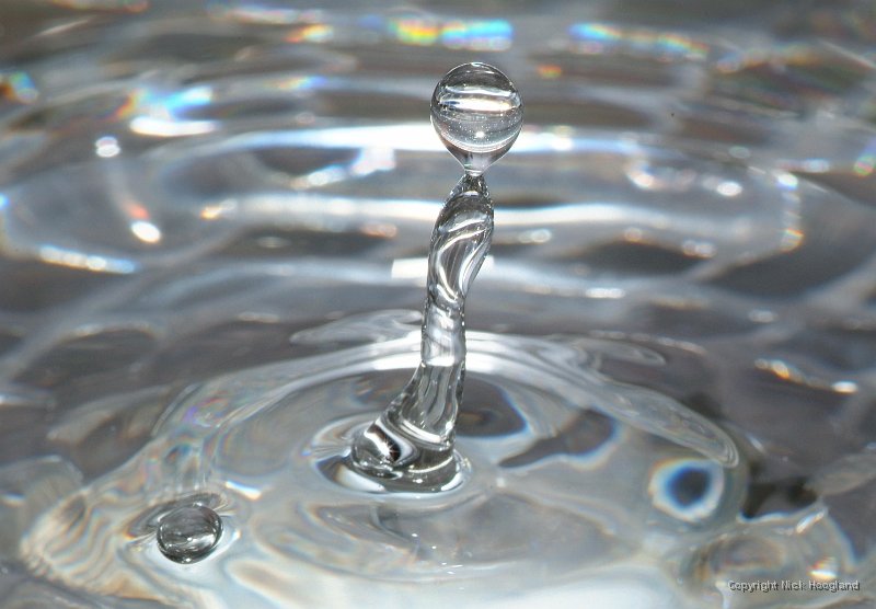 DSCF6500.JPG