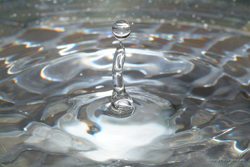 DSCF6550.JPG