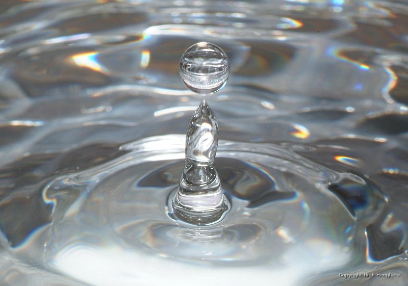 DSCF6555.JPG