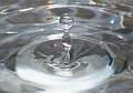 DSCF6603